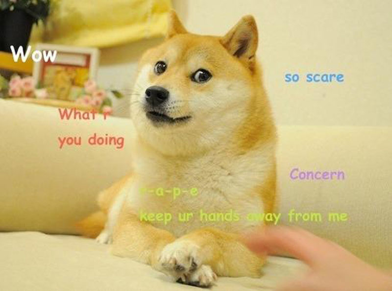 Dogecoin (DOGE)