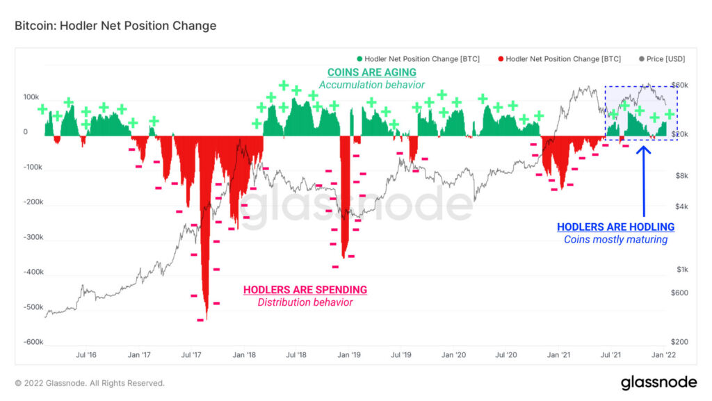 hodlers bitcoin