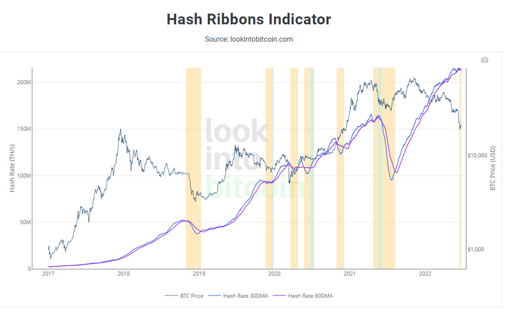 capitulación mineros hash ribbons