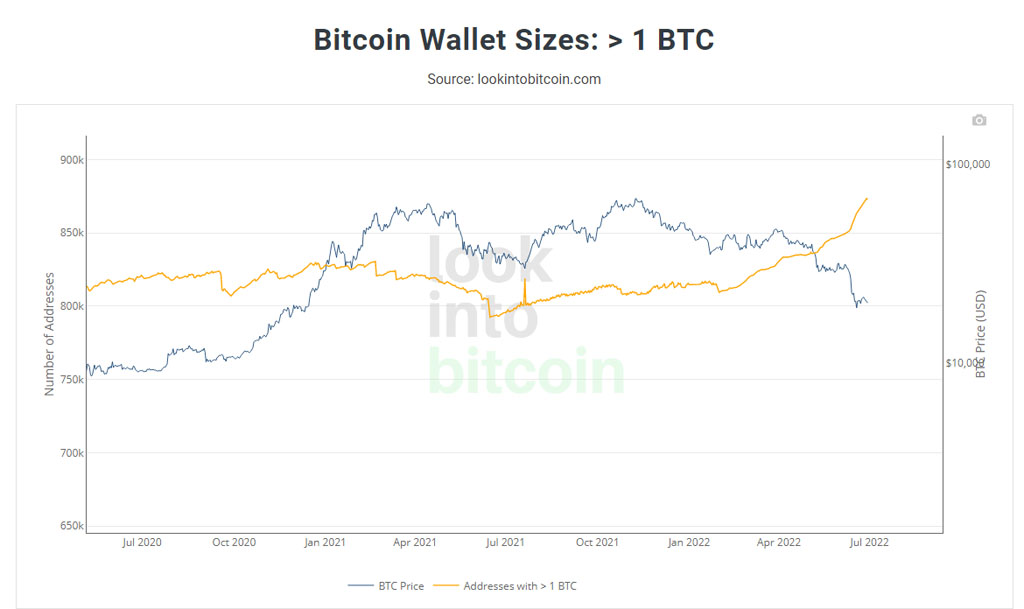 hodlers bitcoin