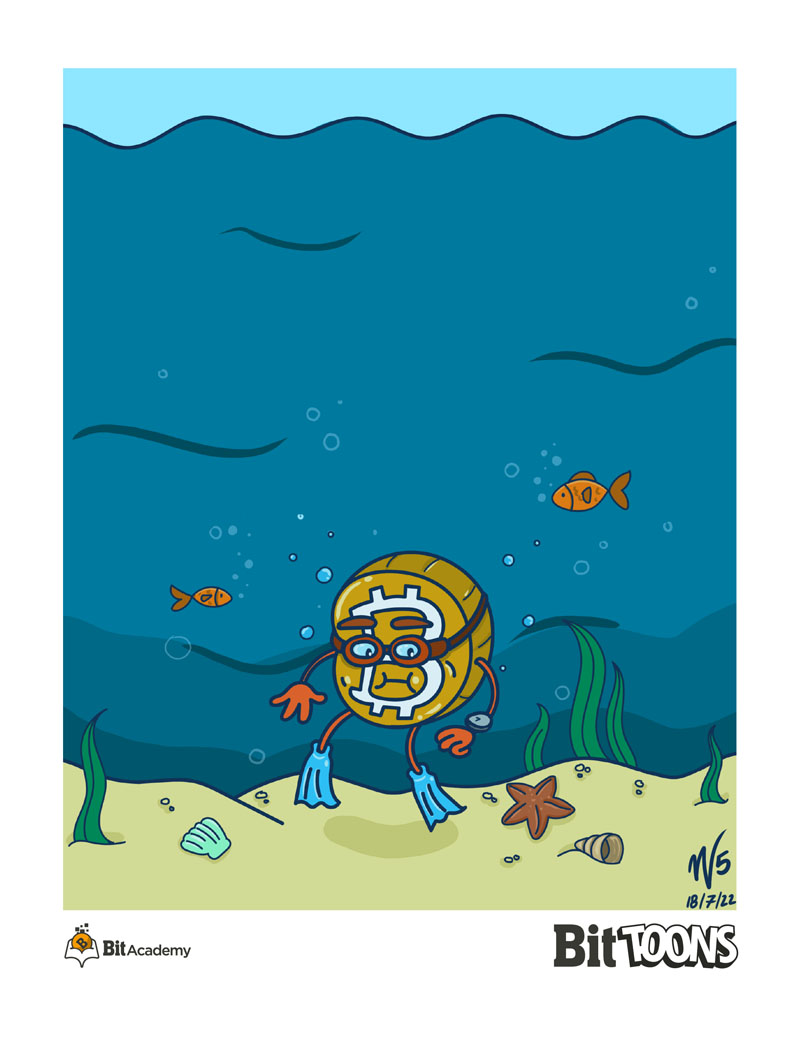bittoons nft