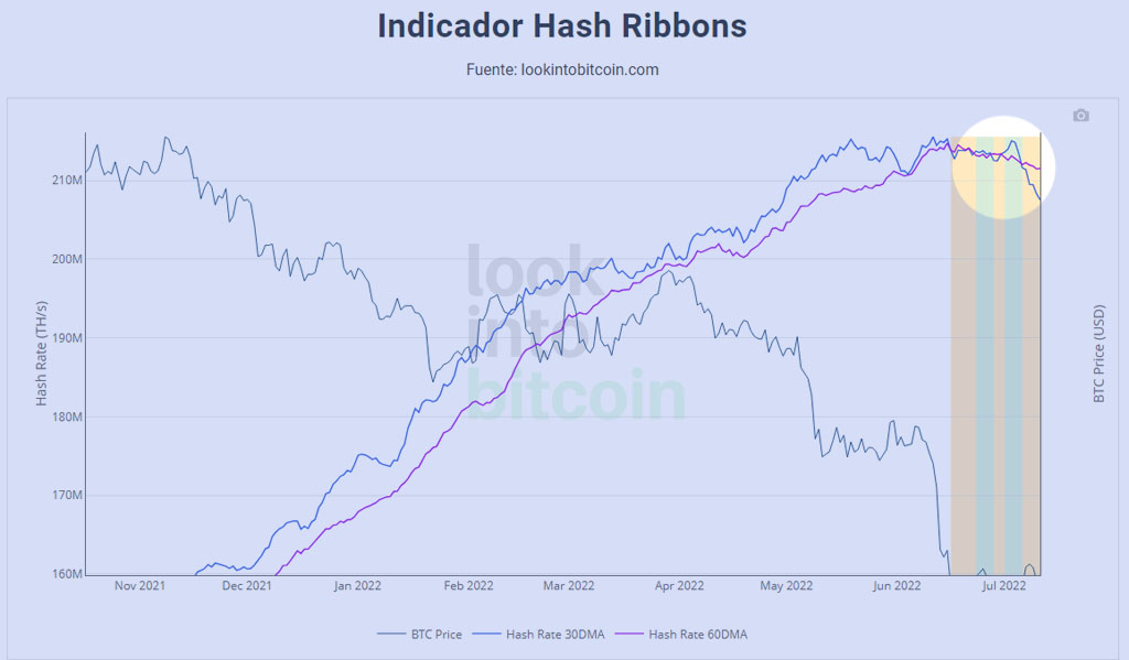 tasa hahrate bitcoin