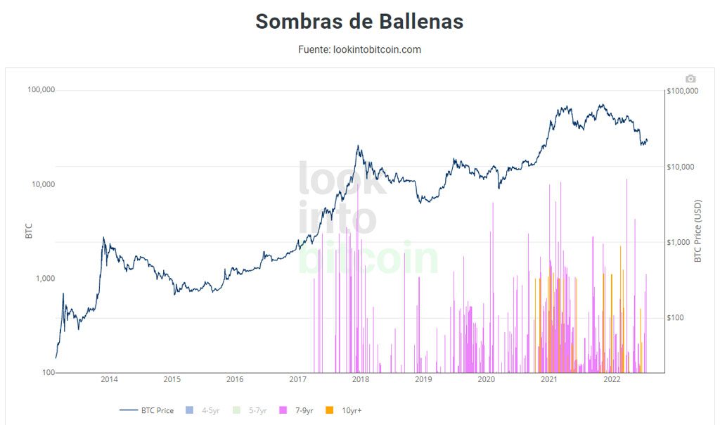 indiador whale shadow bitcoin