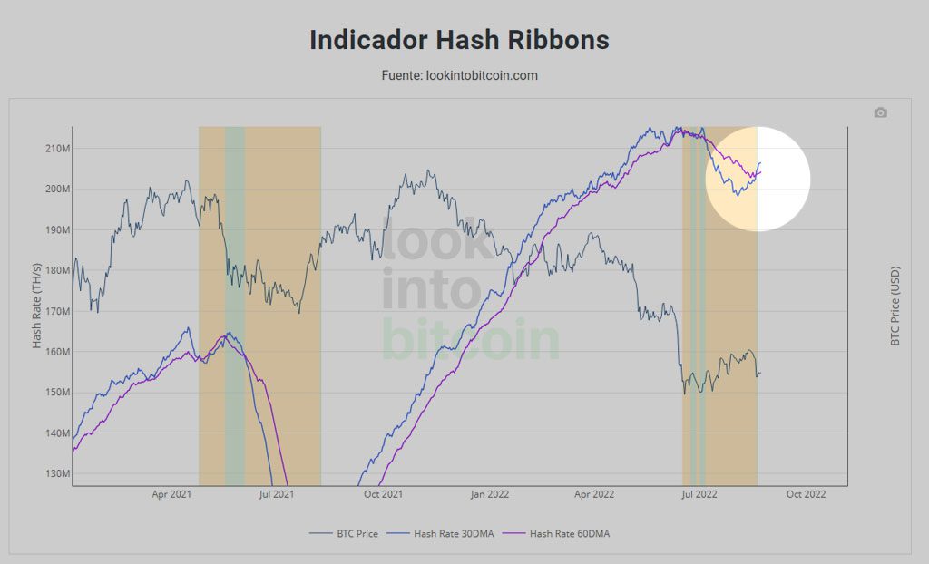 capitulación mineros bitcoin