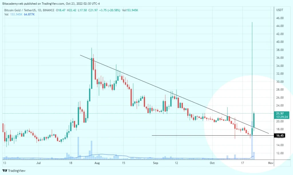 Bitcoin gold btg mineros