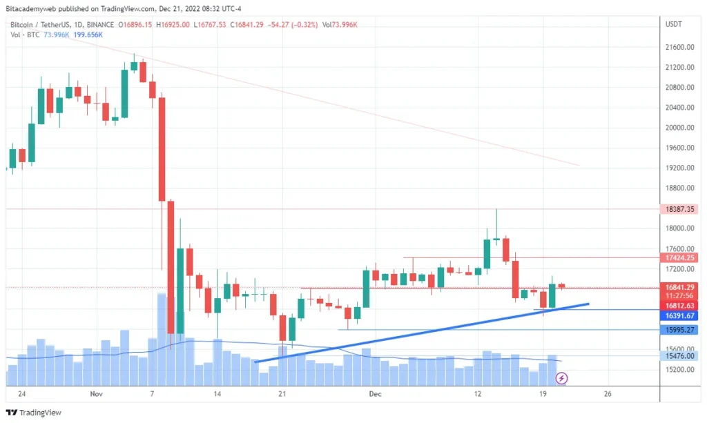 Bitcoin fud binance