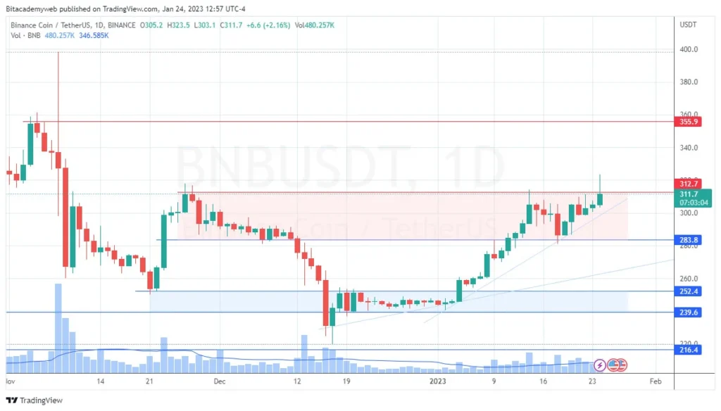 Binance coin bnb