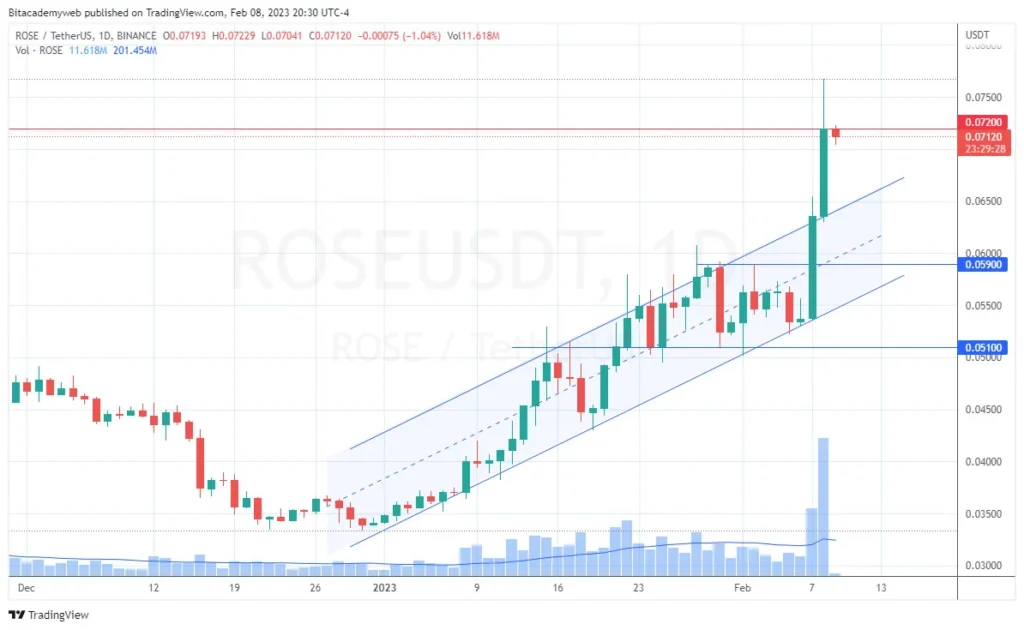 Osasis network rose ia