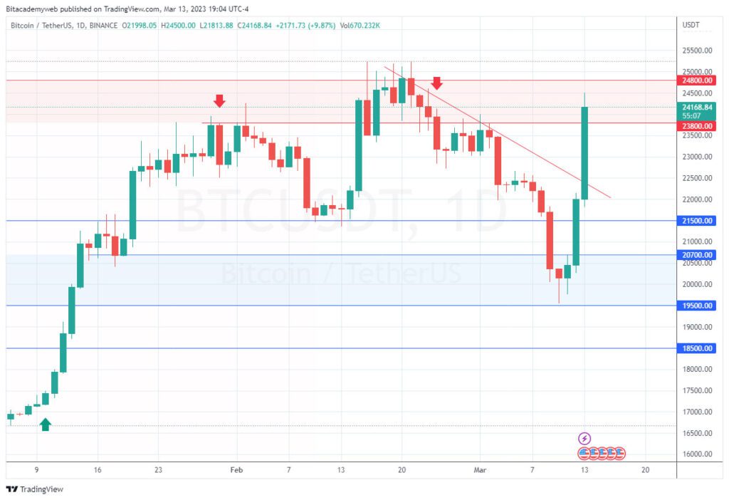 Pánico bitcoin btc