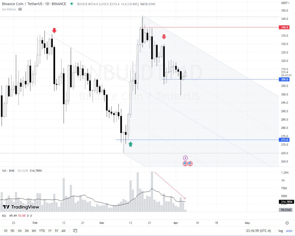 Binance coin bnb fud