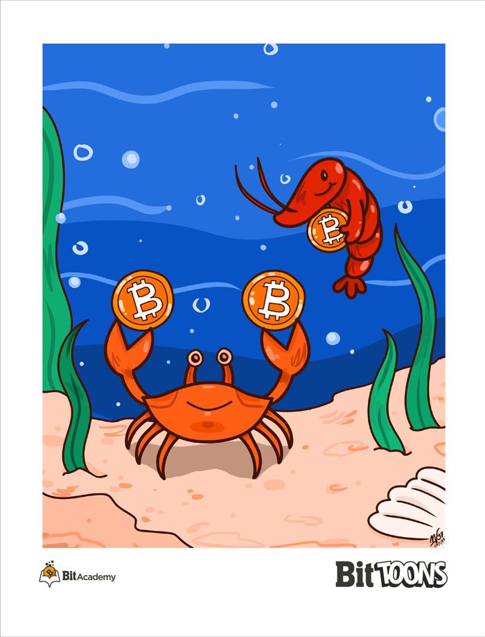 Crab and Shrimp Adoption