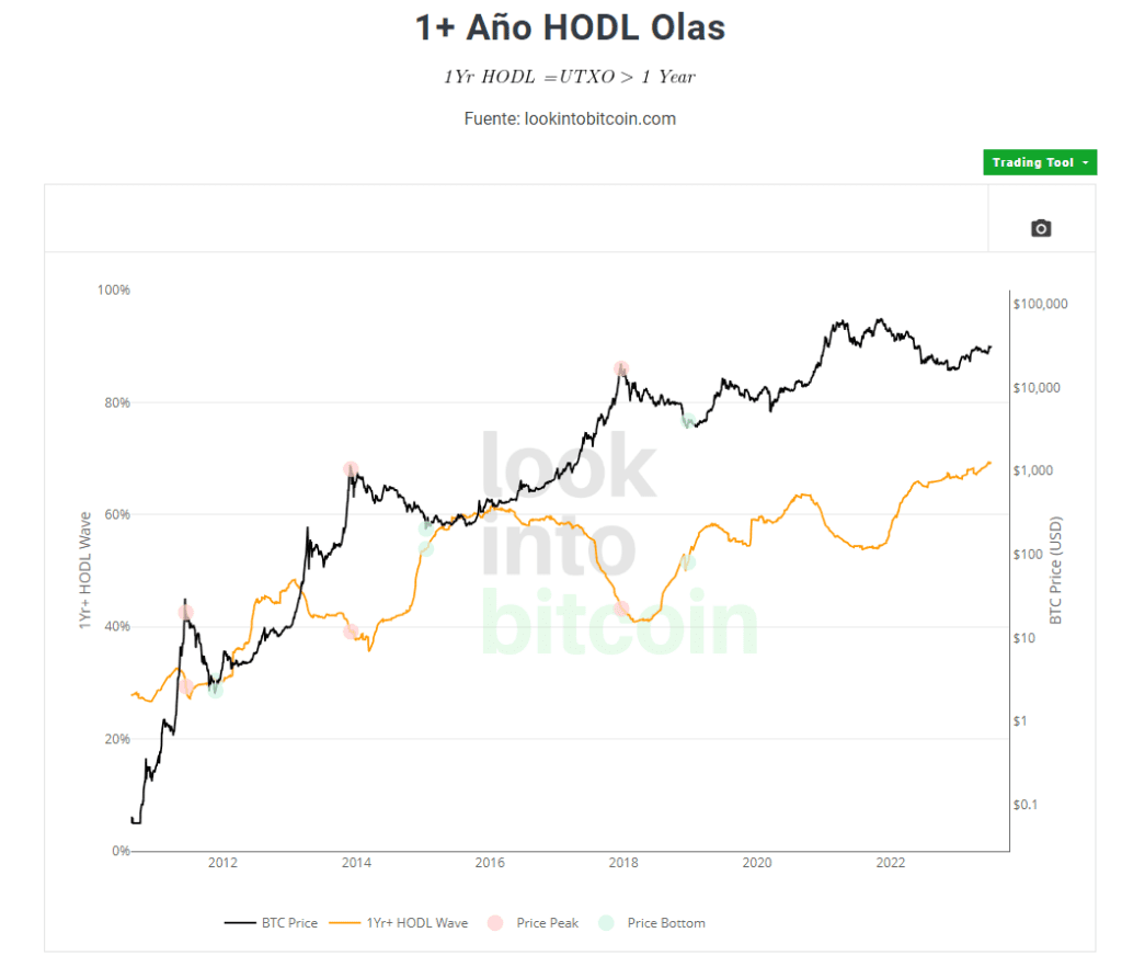 Bitcoin hold wave