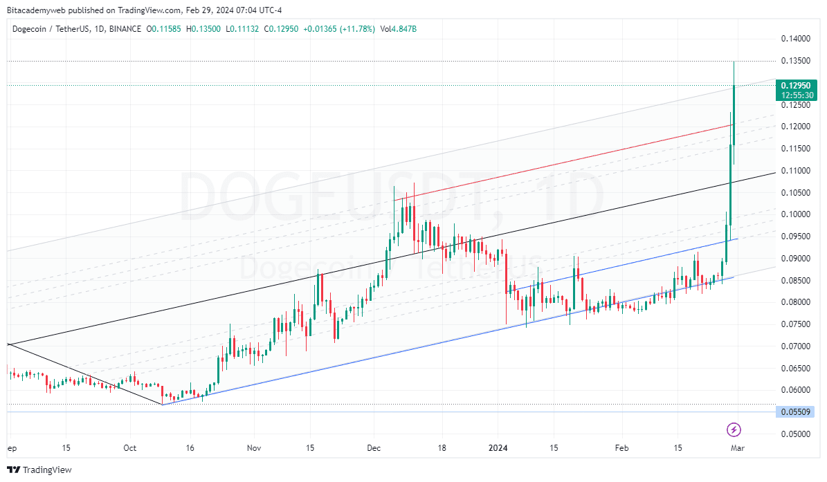 Año dogecoin