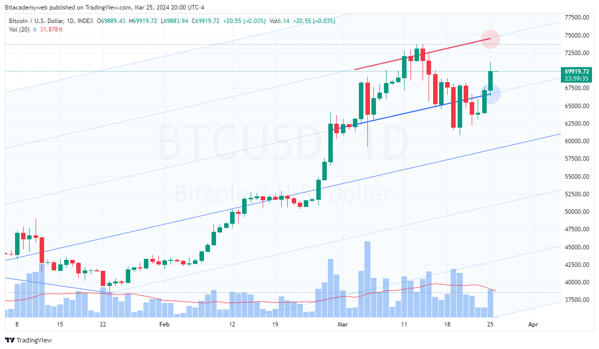 Bitcoin halving política monetaria