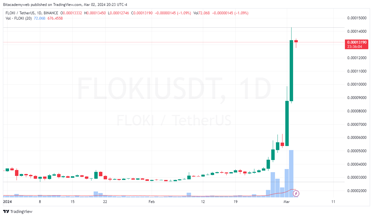 Tokens floki