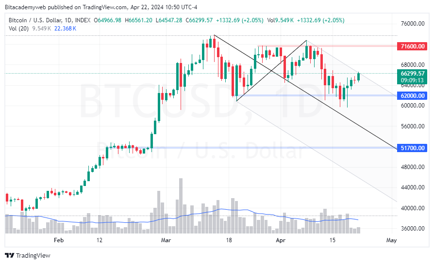 Bitcoin btc rebote