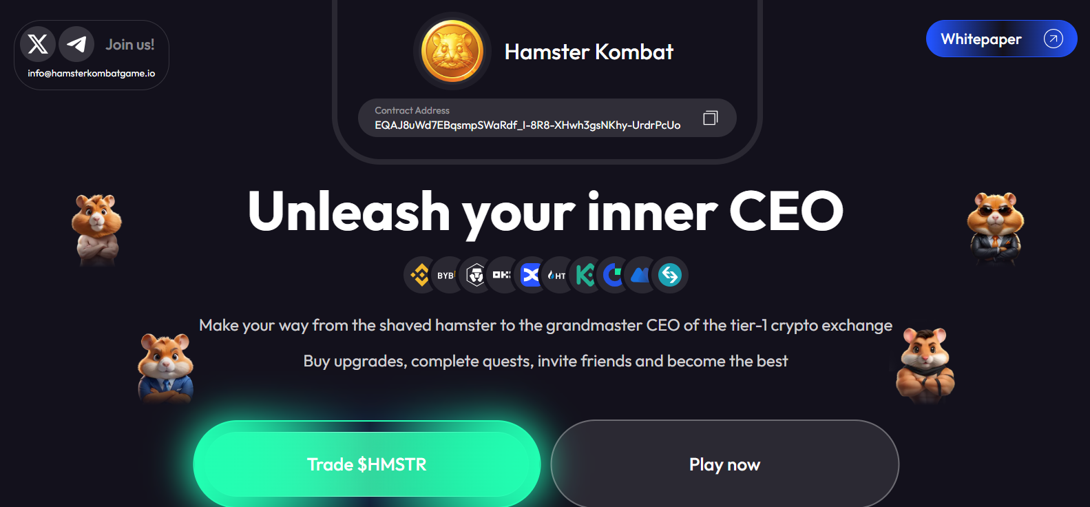Hamster kombat token