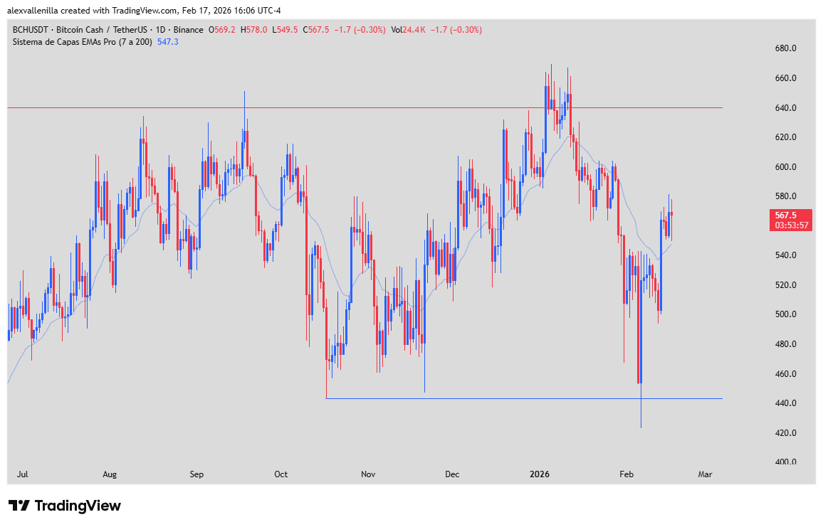 Bitcoin Cash BCH LAYLA