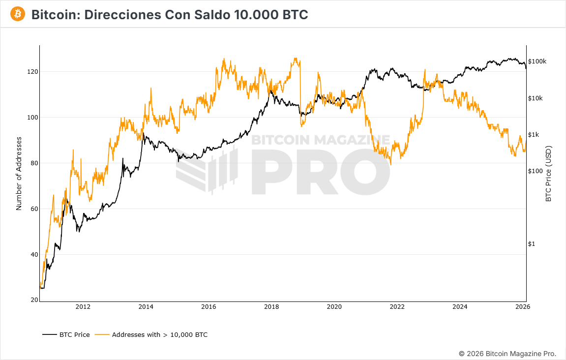 Bitcoin ballenas direcciones acumulación