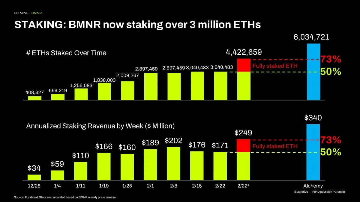 Bitmine Immersion Technologies