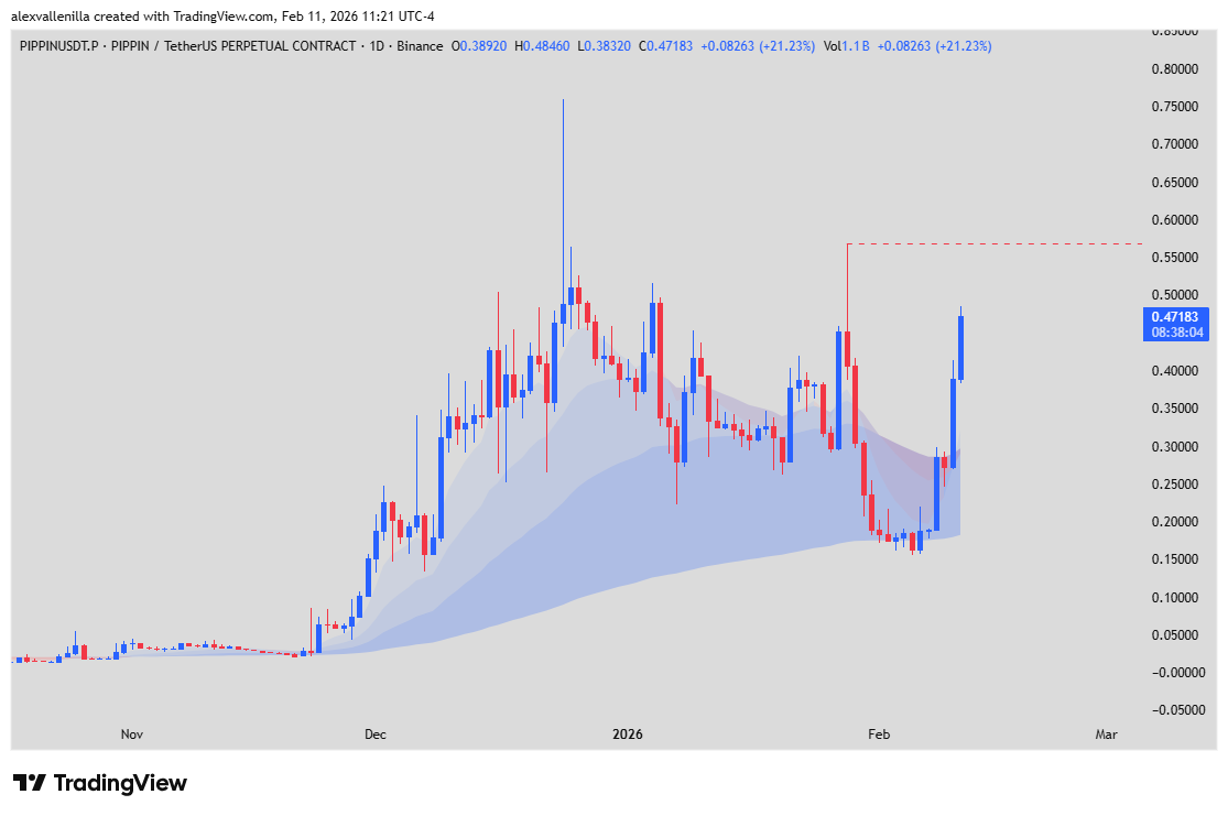 Pippin solana memecoin ia