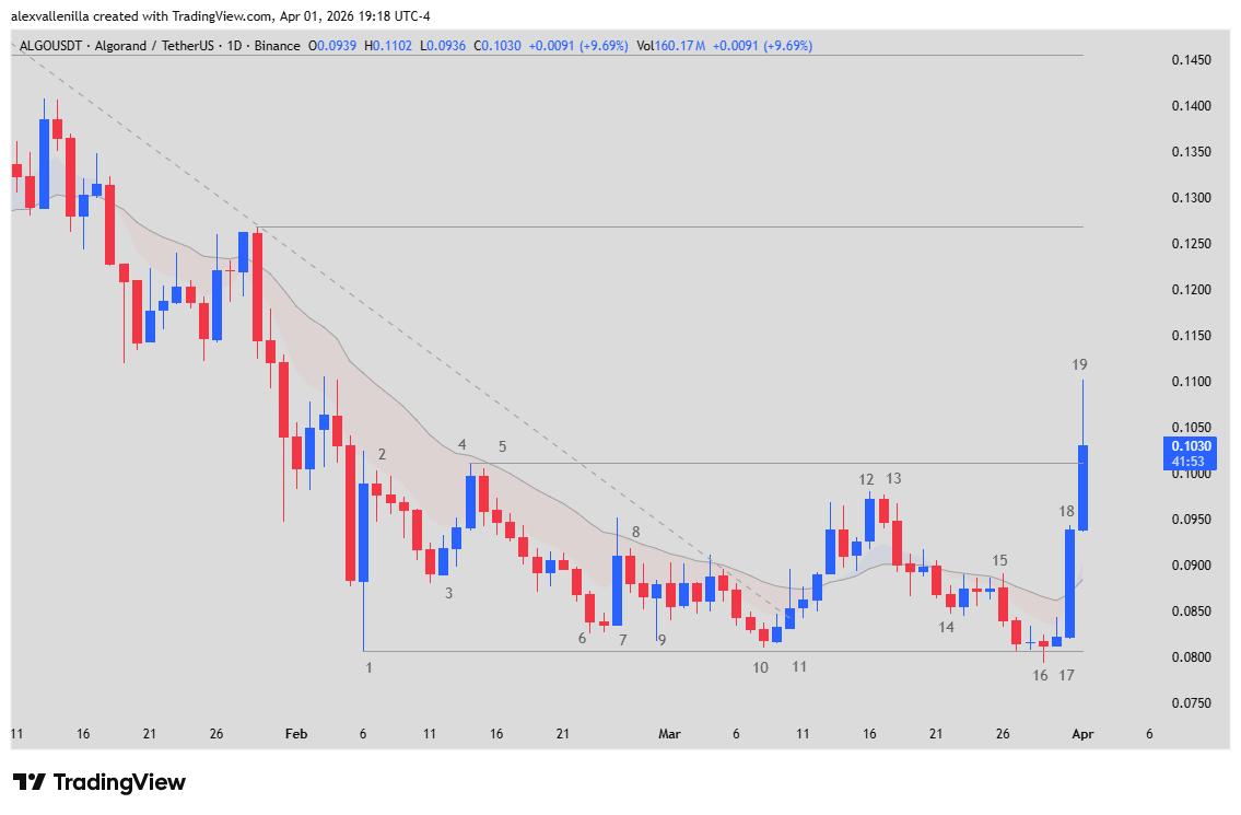 Algorand, ALGO, Technical Analysis, Price Action, Accumulation, Bull Breakout, Cryptocurrencies, Crypto Trading, 20 EMA, Market Structure Shift,