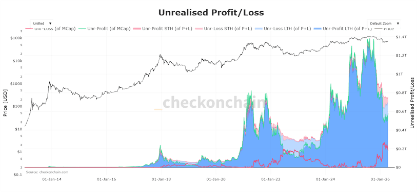 unrealized profits, bitcoin, Long-Term Holders,