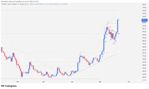 Zcash, ZEC, Zcash technical analysis, privacy cryptocurrencies, cryptocurrency trading, broadening wedge, price action, institutional volume, ZEC bull cycle,