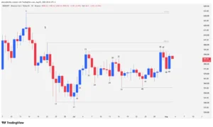 Binance Coin (BNB) Japanese candlestick chart illustrating double-bottom patterns and technical accumulation ranges on a daily timeframe.