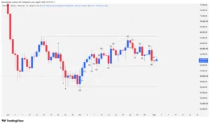Daily timeframe bitcoin candlestick chart detailing bull channels and bearish breakouts.
