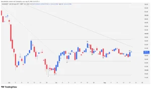 CMC20 index candlestick chart showing consolidation and key technical support.