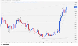 Daily timeframe Japanese candlestick chart of the HYPE cryptocurrency reflecting the price structure at all-time highs.