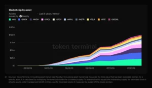 Token Terminal analytics dashboard displaying market cap metrics and distribution of Reality rTokens on Arbitrum.