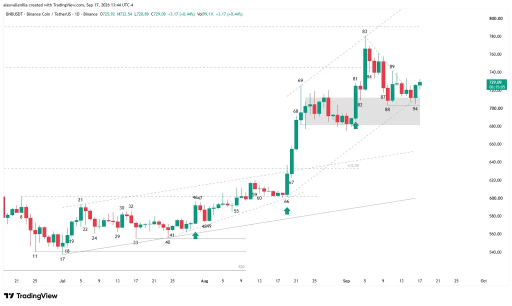 Binance Coin candlestick chart highlighting supports and bull channel breakouts on a daily timeframe.