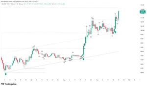 Solana daily candlestick chart showing the bull flag pattern and bar 79 breakout.